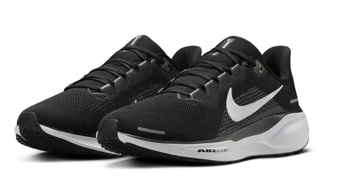 Nike Pegasus 41 negras