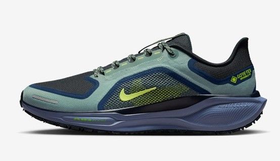 Nike Pegasus 41 Gore-Tex