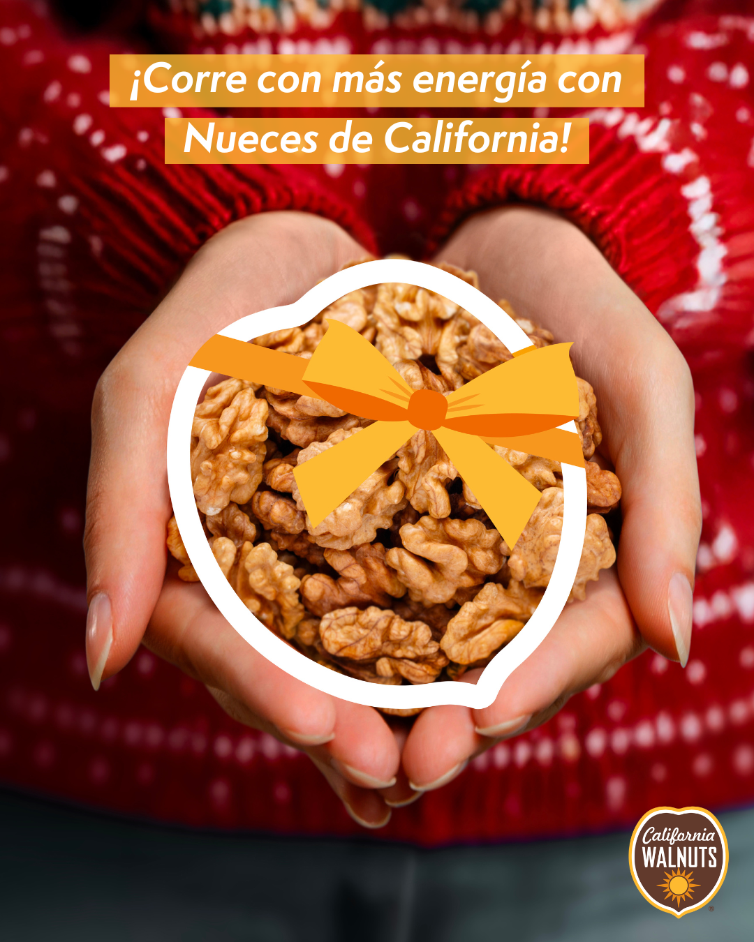 nueces1