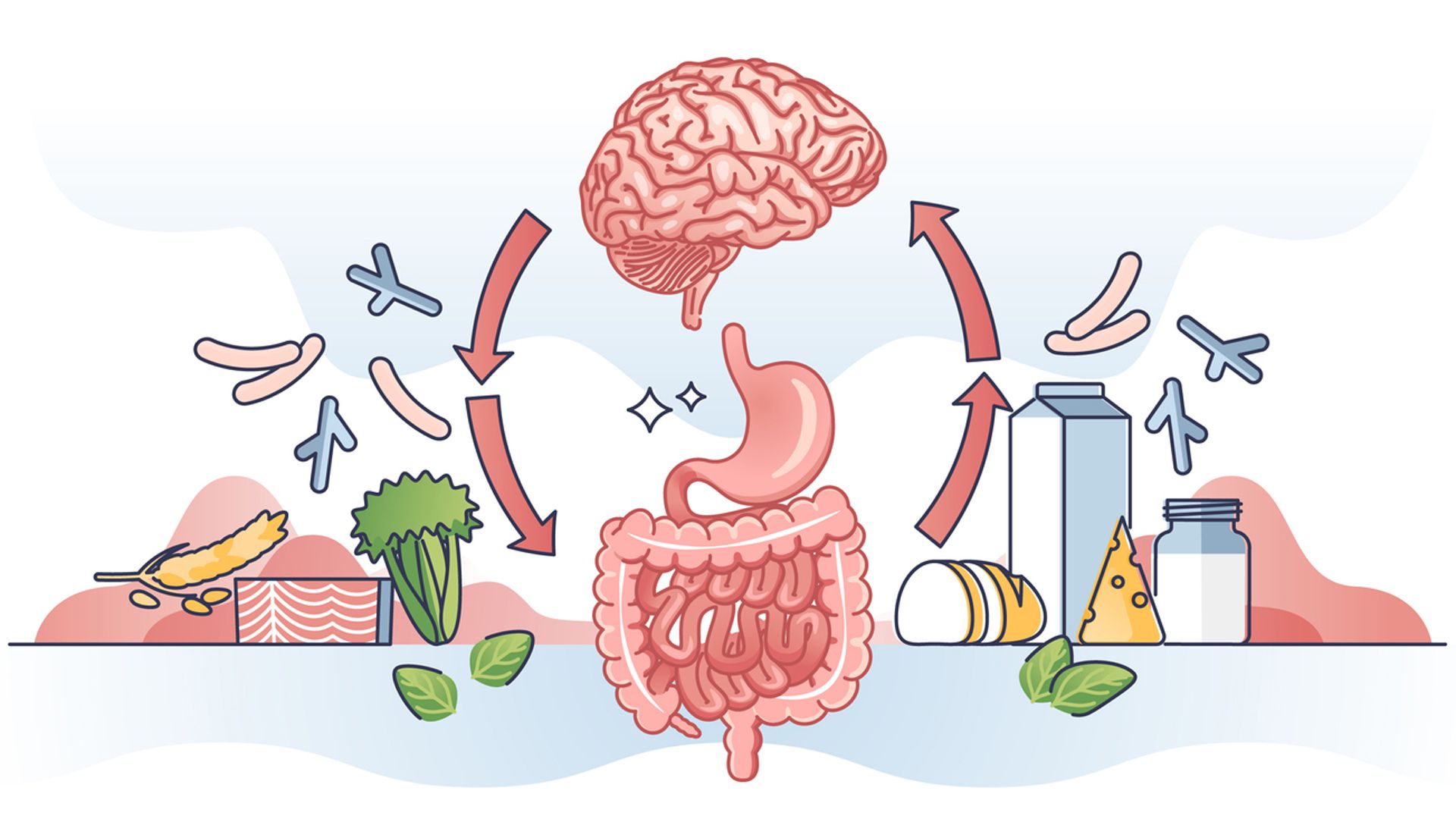 Cómo puedes ayudar al Eje Intestino Cerebro