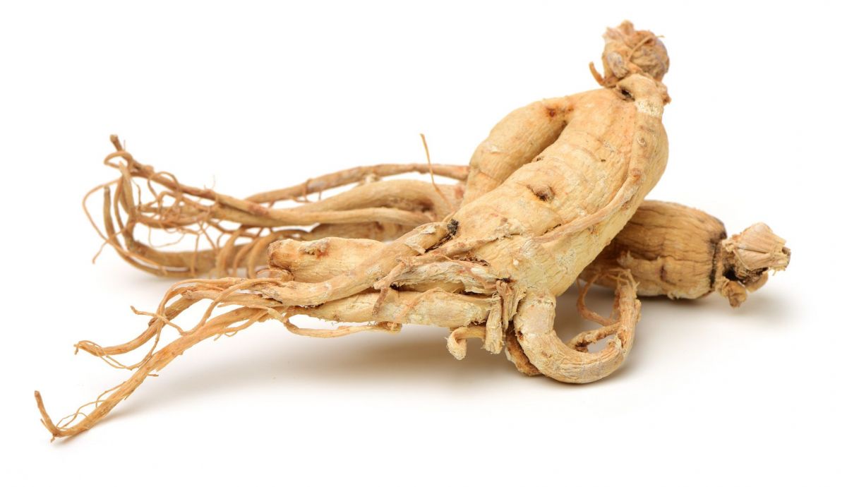 Ginseng