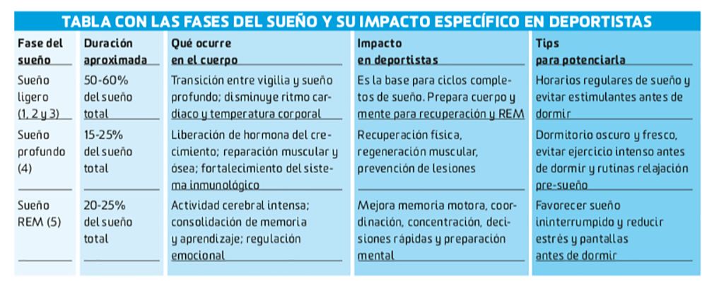 Fases del sueño y su impacto en deportistas