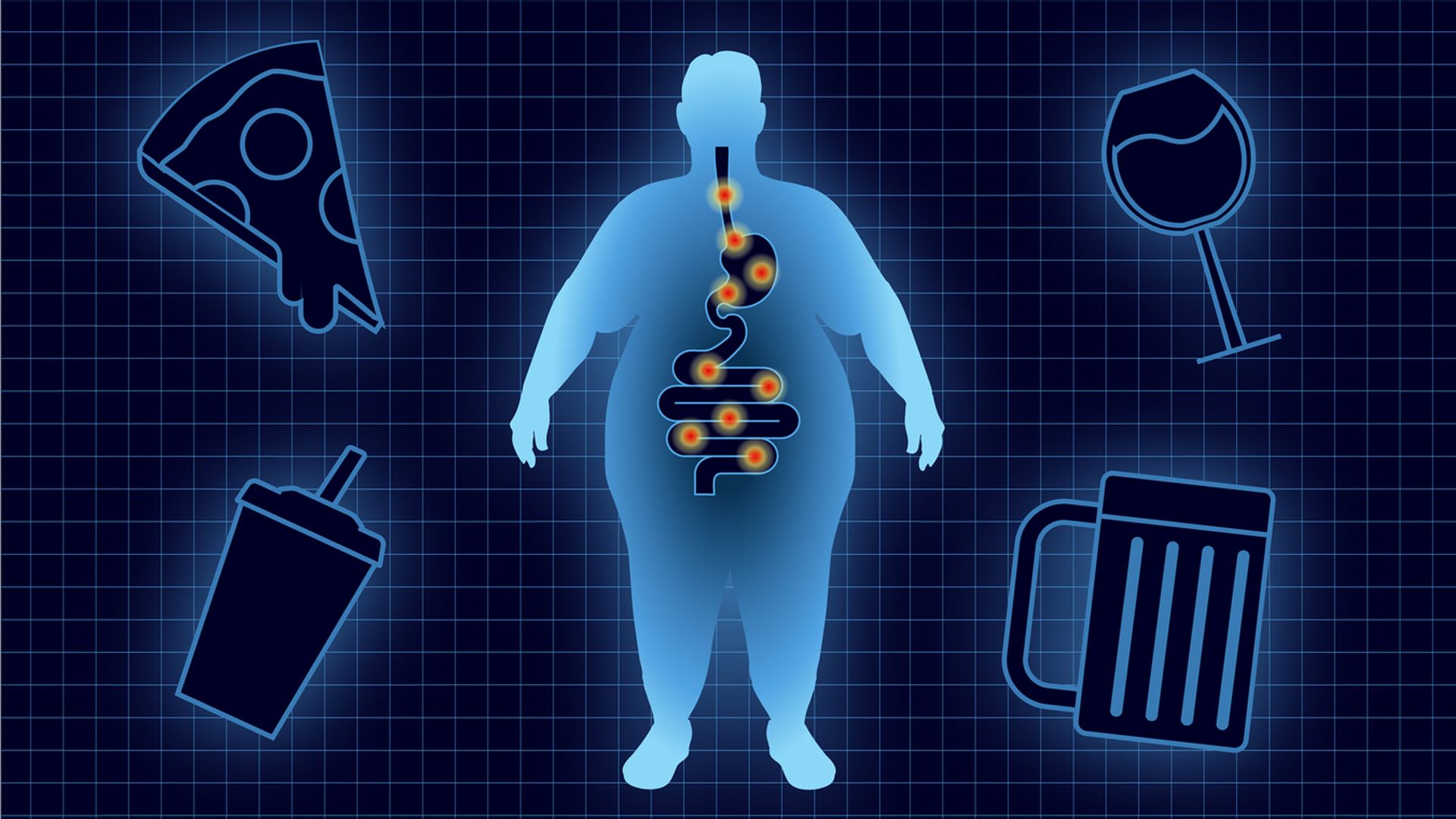 Turicibacter, la bacteria intestinal que podría ayudar a perder peso