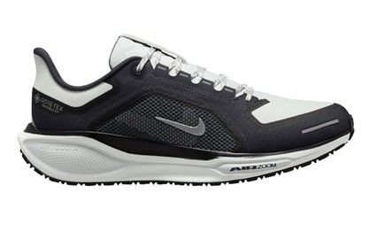 Nike Pegasus 41 Gore-Tex 