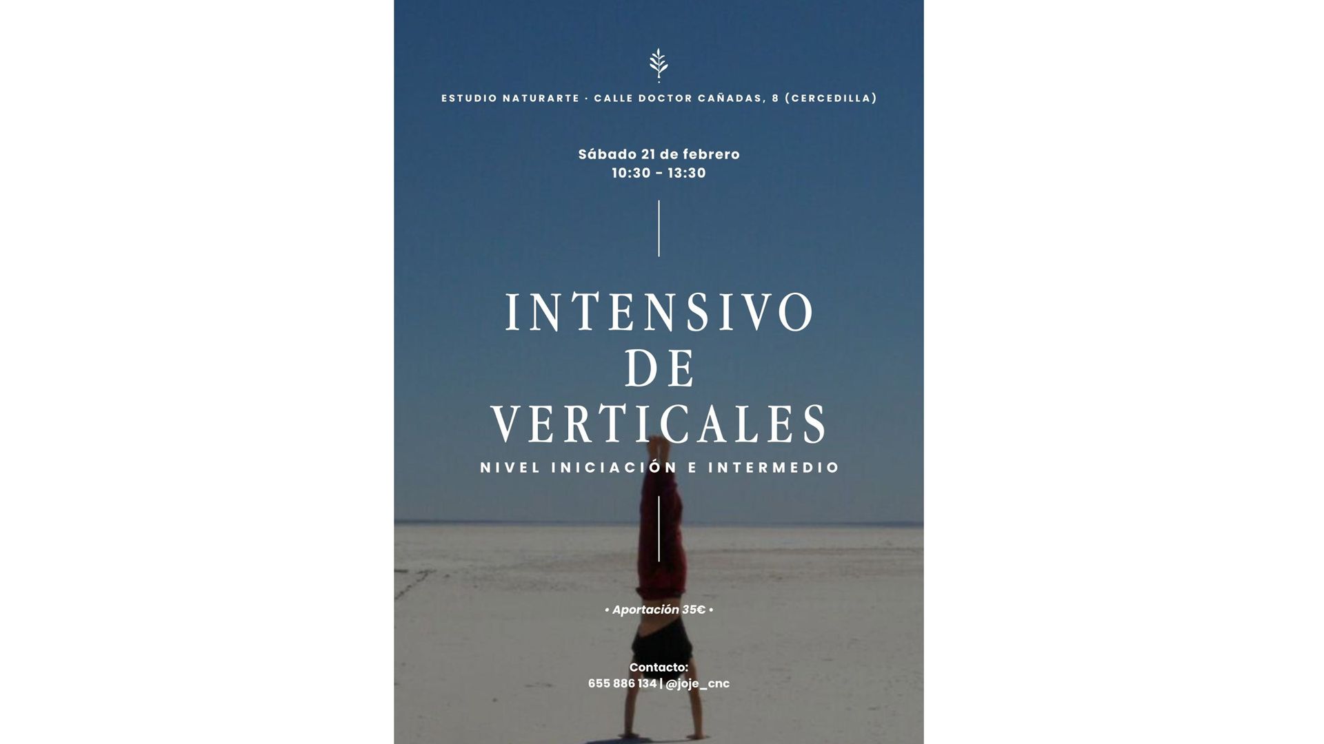 Taller Intensivo de Verticales en Cercedilla