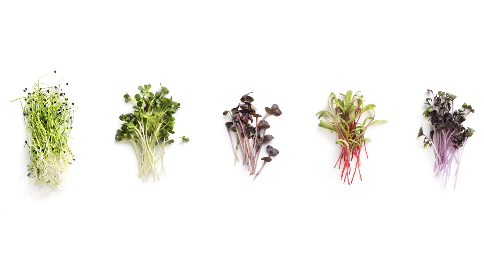 Micro Brotes, añade más valor nutricional y el toque chef a tu cocina diaria sin complicarte la vida