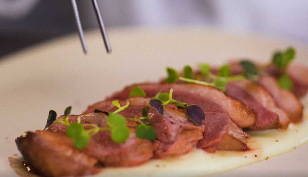 Micro brotes, cocina gourmet en tu casa