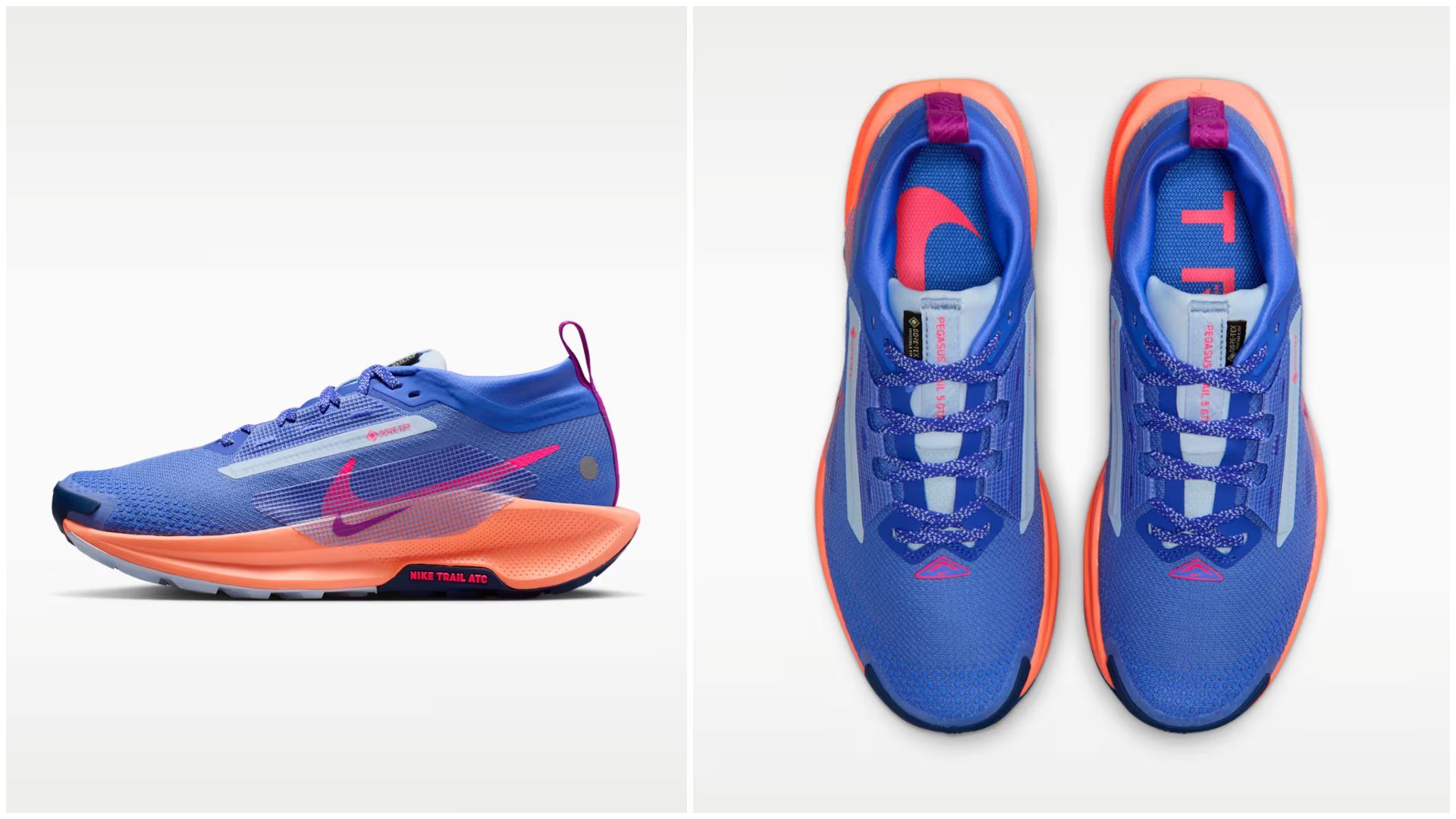 Nike Pegasus Trail 5 GORE TEX.