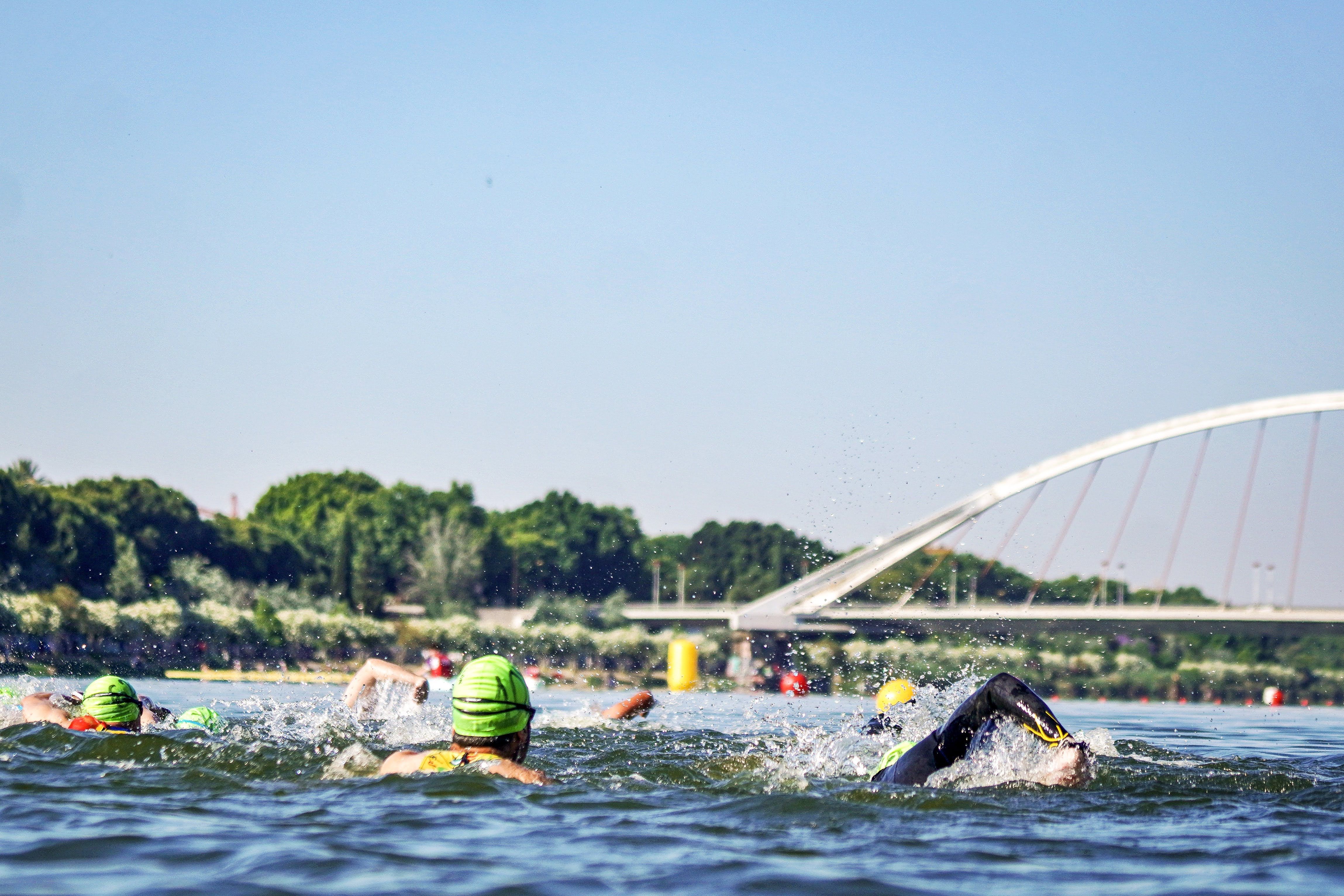 La sección de natación del Triatlón de Sevilla en las tranquilas aguas del Guadalquivir