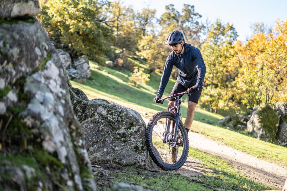 Ejercicio apoyado en un muro, árbol, piedra grande