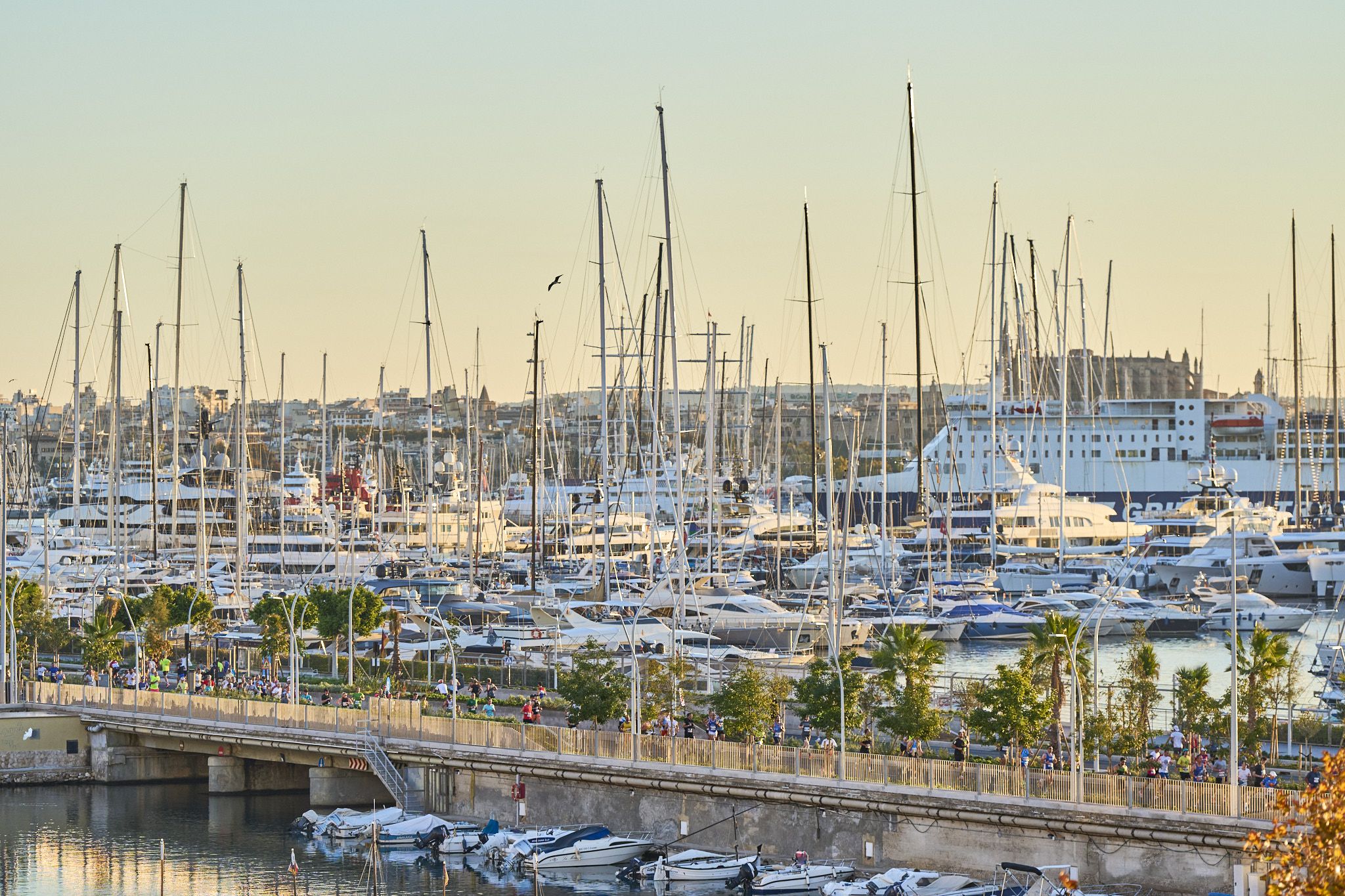 TUI Palma Marathon Mallorca.