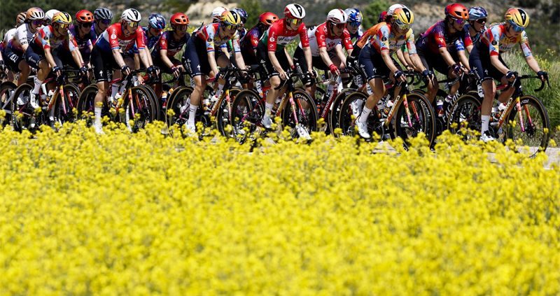 peloton peloton