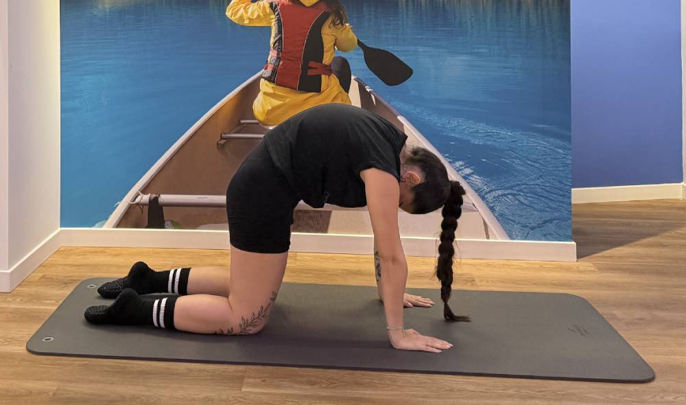 Cat Stretch