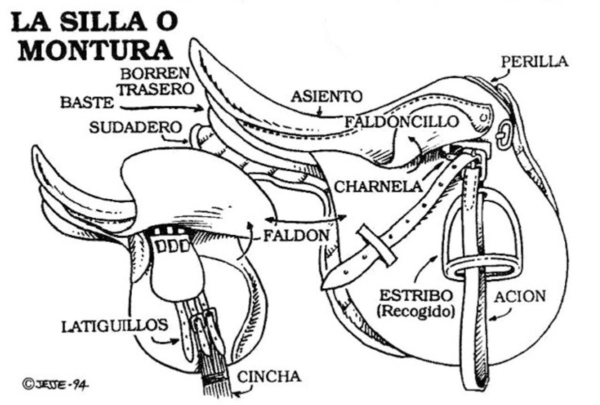 La montura o silla de montar (Ilustraciones: www.jesse-dibujante.com)