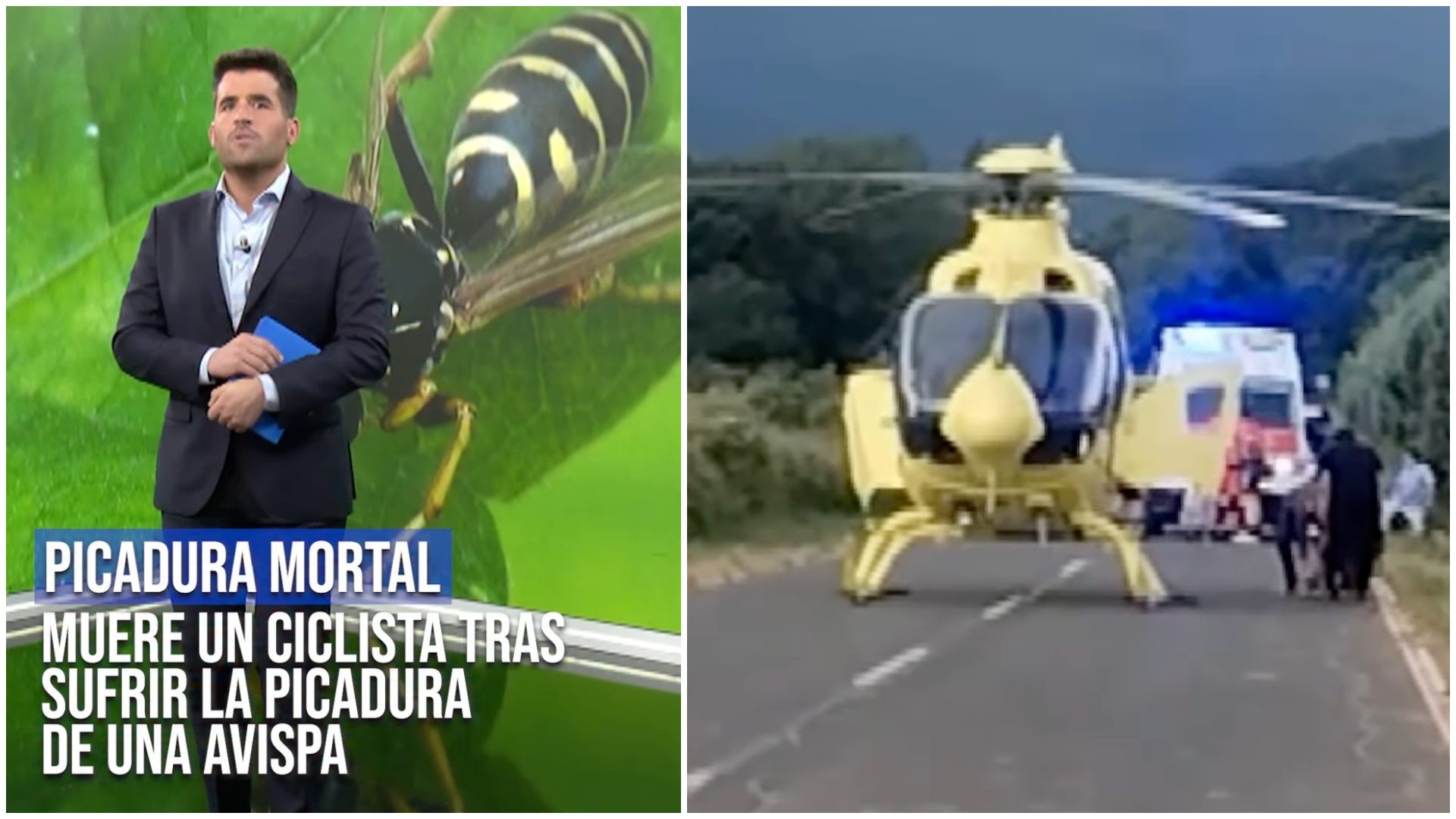 Muere un ciclista por la picadura de una avispa en la zona femoral