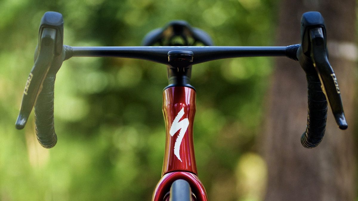 Specialized Tarmac SL9 Speed Sniffer