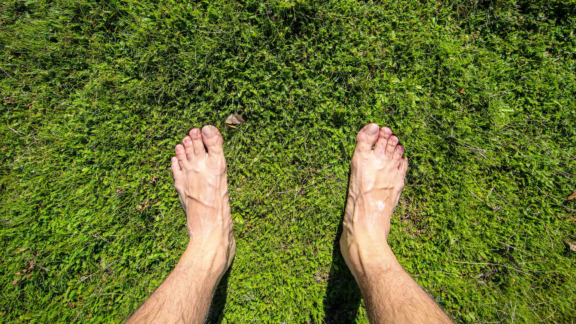 Con los pies en la tierra: el método de La Roja en el Mundial. (Foto: iStock)