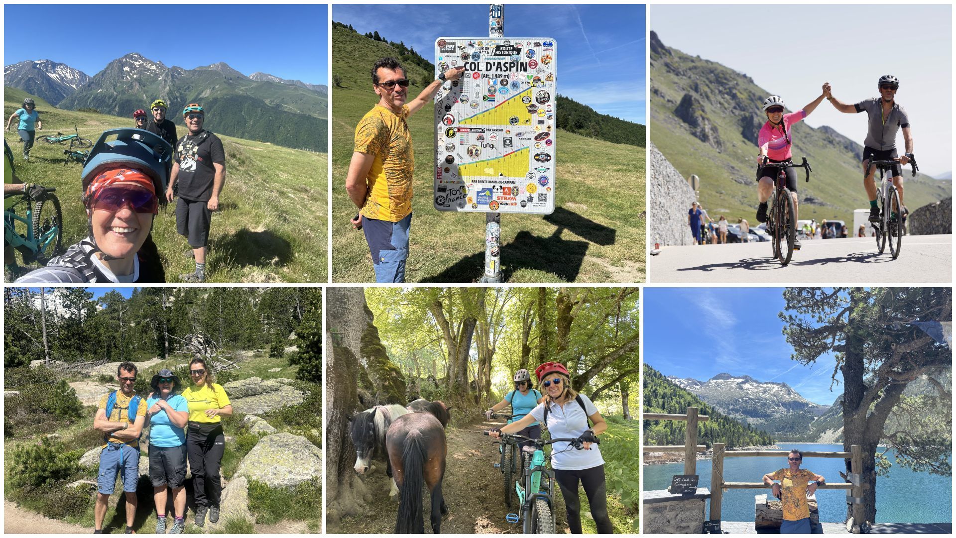 Pirineos en verano.