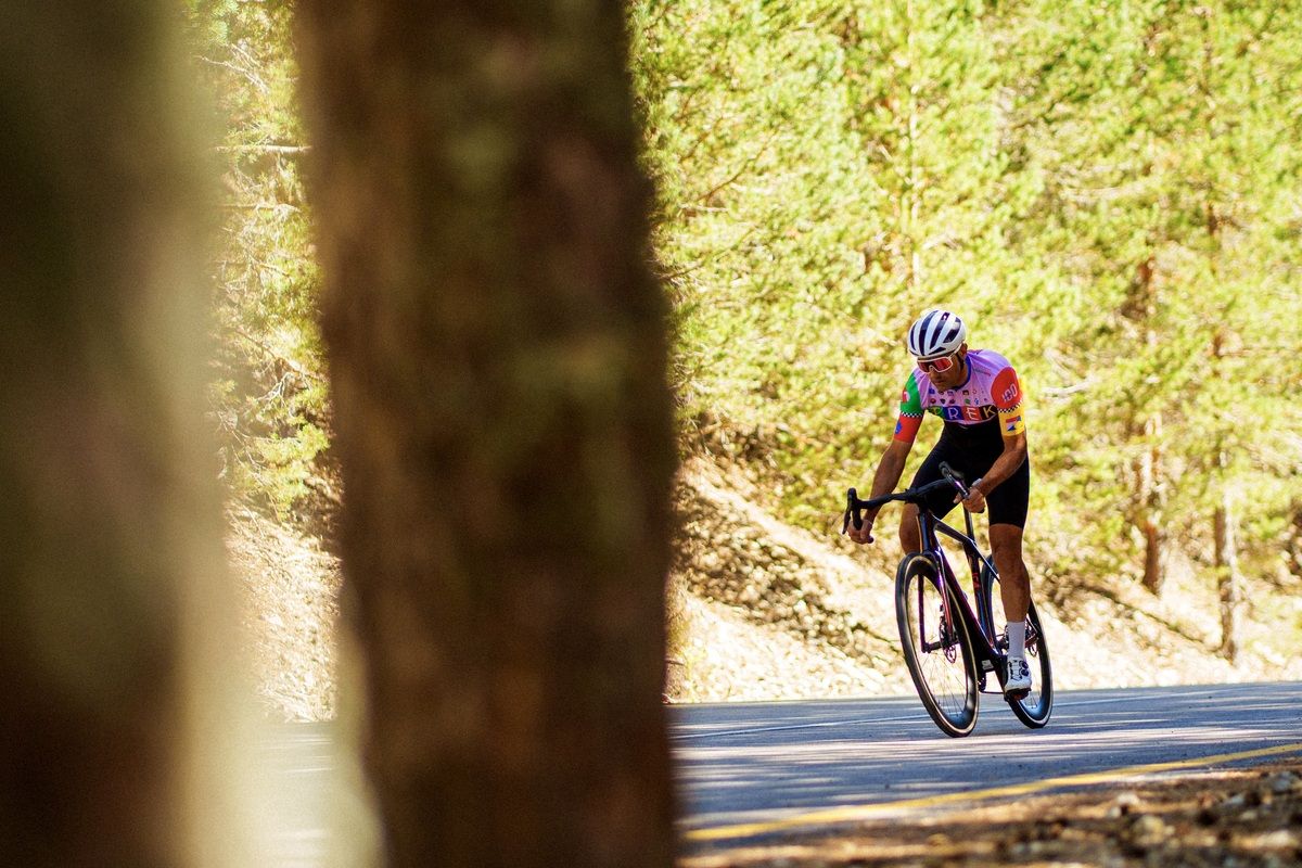 Trek Domane SLR 7 AXS 20