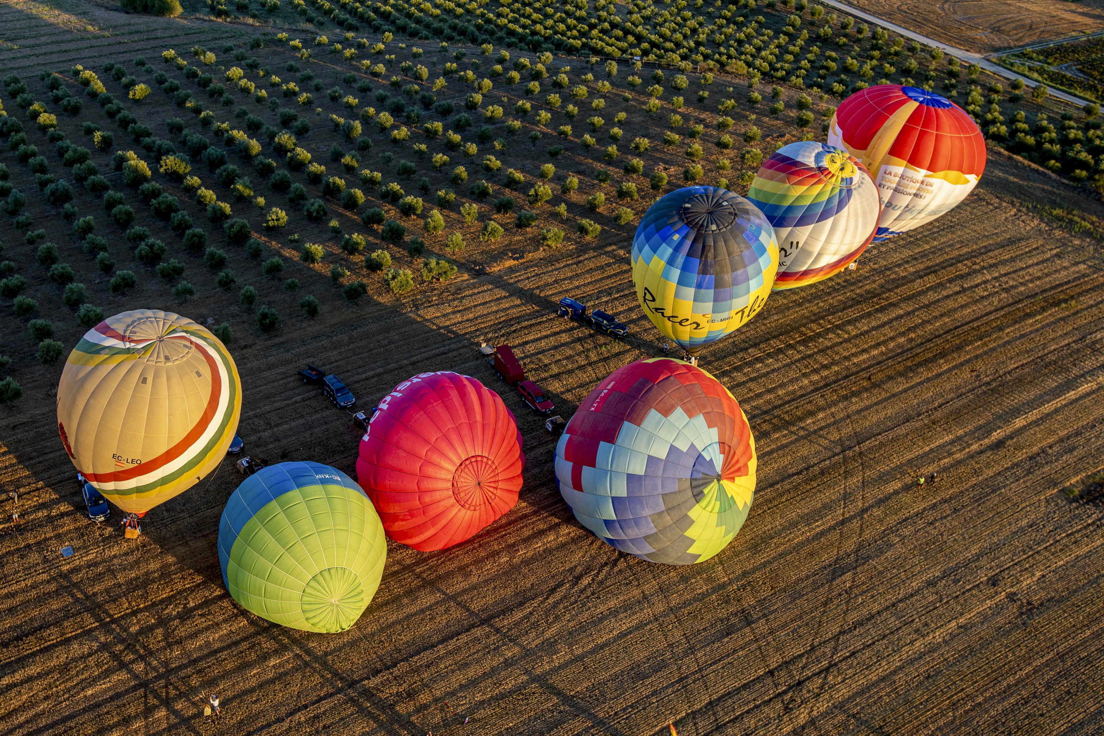 Haro (La Rioja) se convierte en la capital del aire con la regata internacional de globos