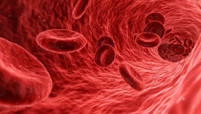 Analítica de sangre: los valores que de verdad debemos mirar (y preocuparnos) los deportistas