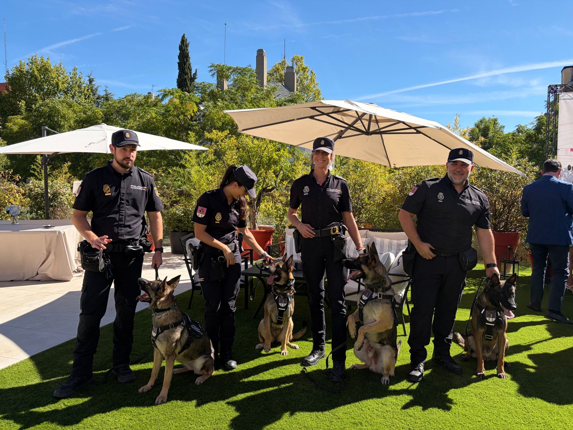 Perrotón Madrid 2026 Nicka Run y Madrid Dog Fest se unen 
