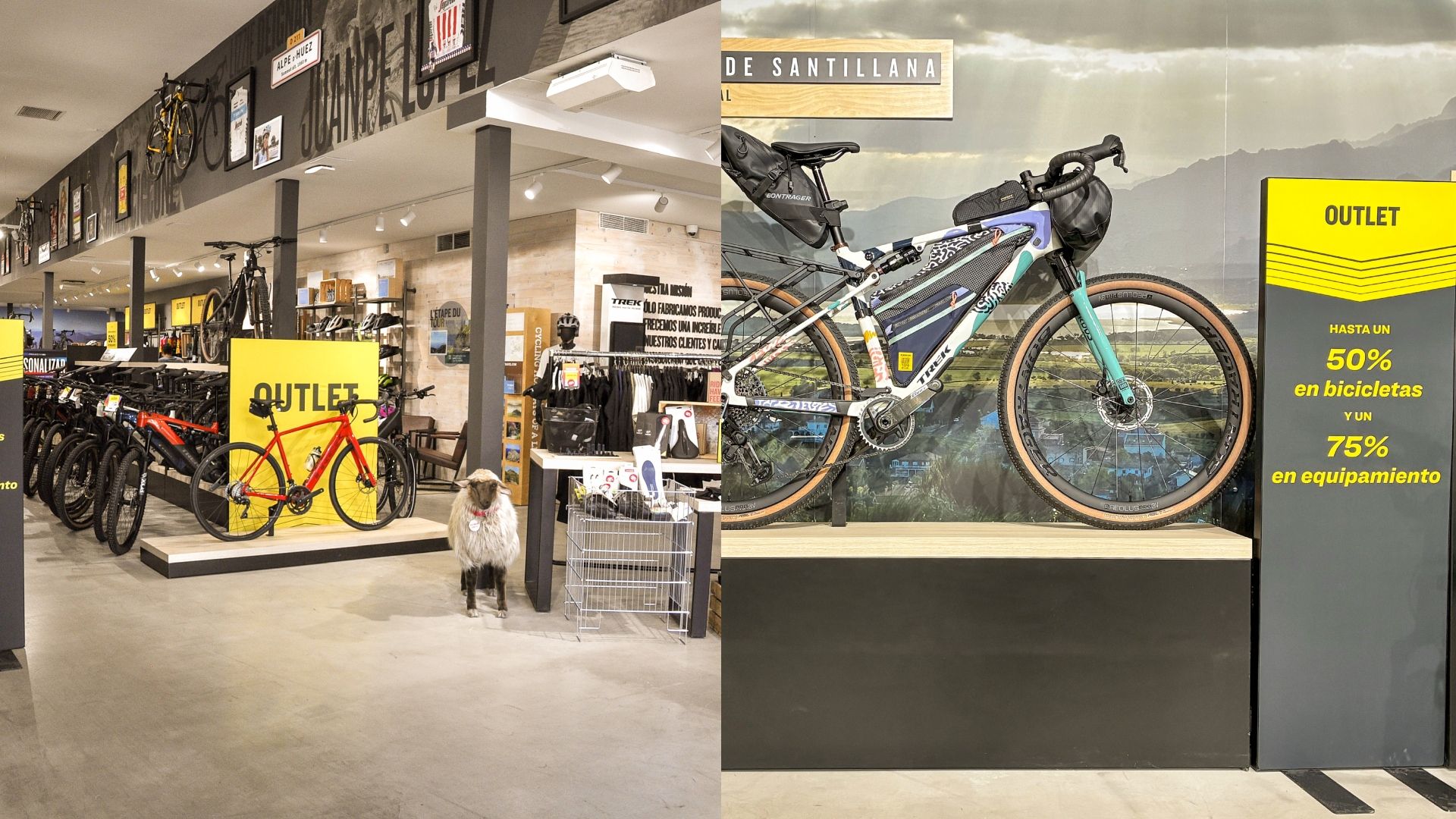 Trek Outlet Center