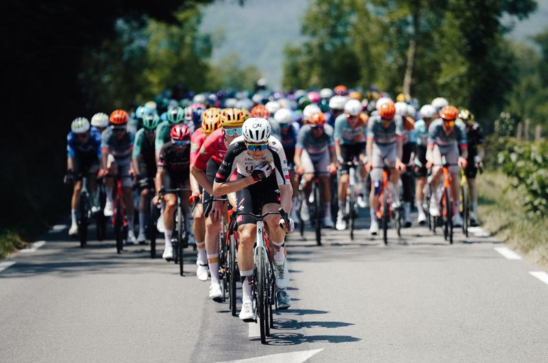 Una imagen del pelotón en el pasado Tour de Francia