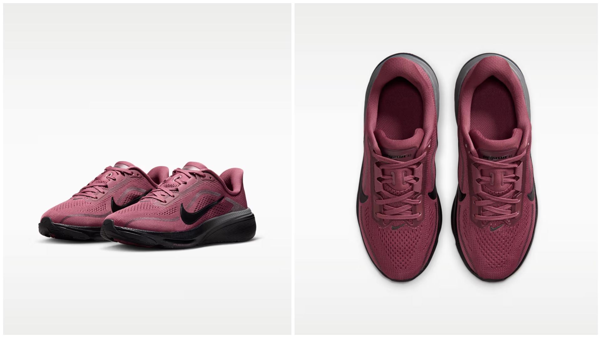 Nike Pegasus 42