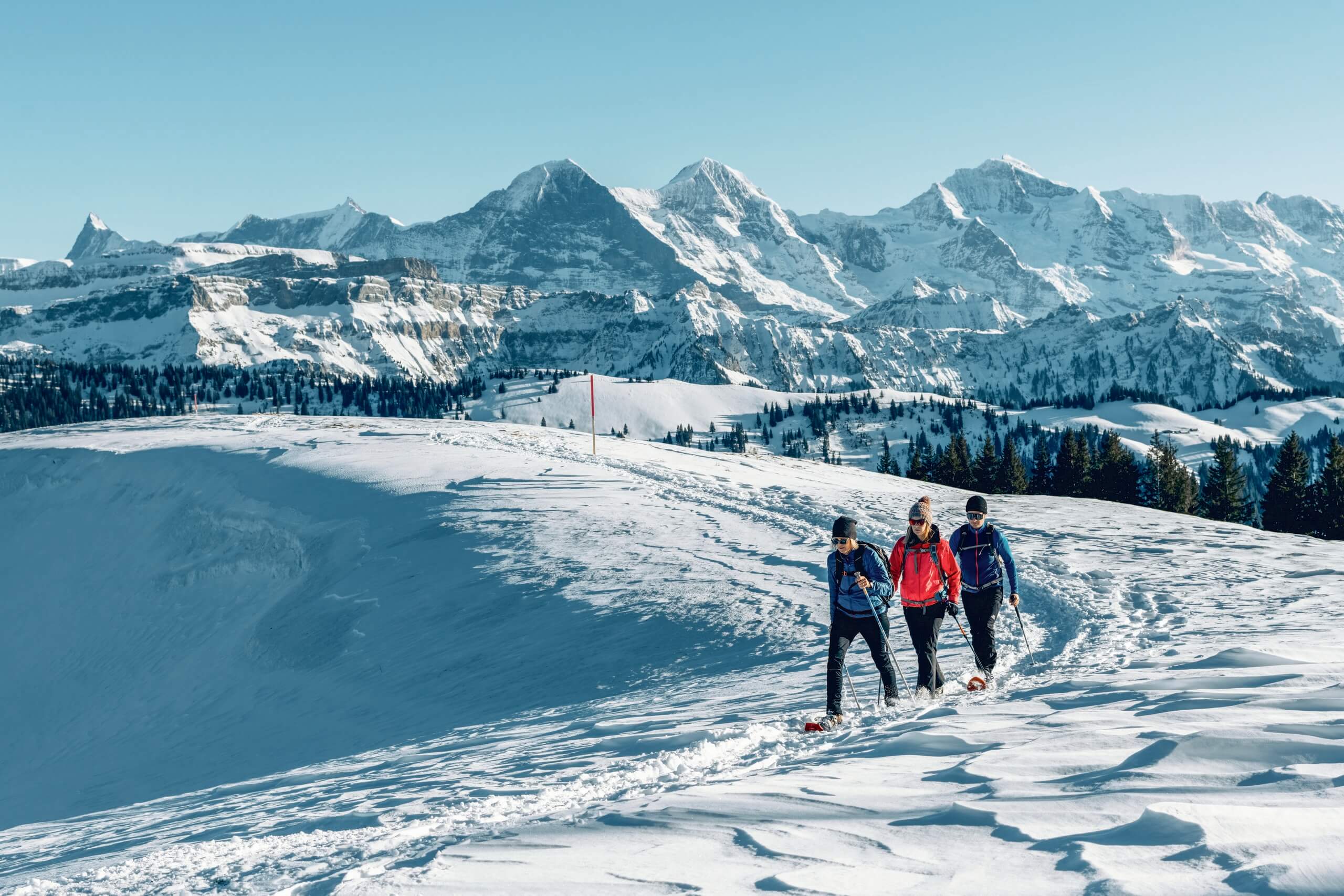 lombachalp schneeschuhlaufen winter eiger moench jungfau panorama