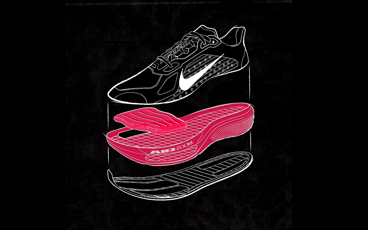 nike pegasus plus 2 graphic