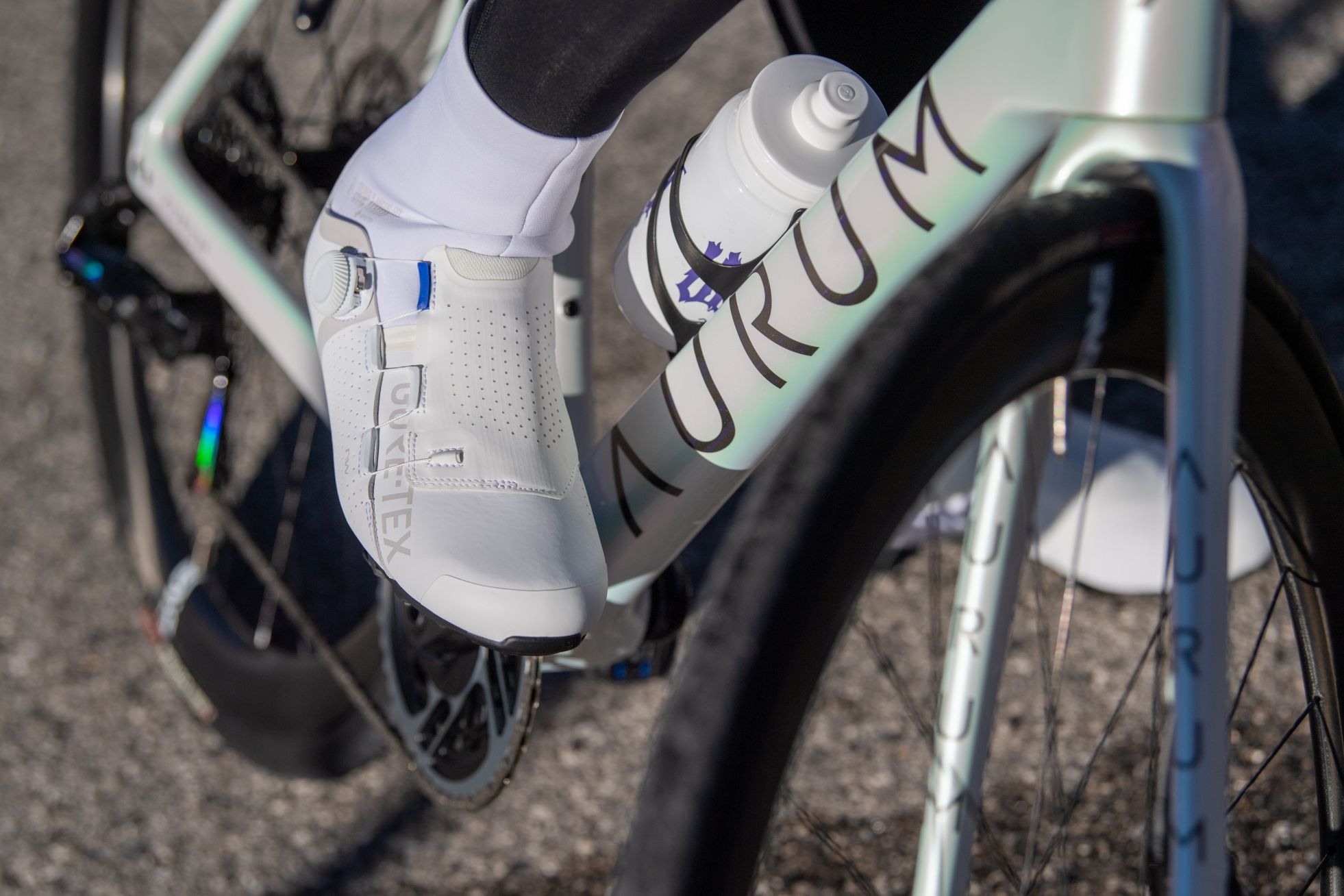 Northwave Celsius R Arctic GTX