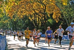 Imagen de Galeria de Todavía puedes correr el Maratón de Nueva York