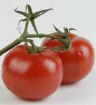 Imagen de Galeria de Los tomates orgánicos tiene más flavonoides