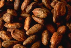 Imagen de Galeria de Más chocolate, menos fatiga