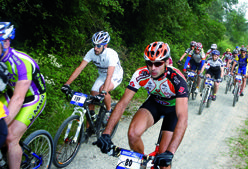 Imagen de Galeria de La mejor colección de bici-excursiones del 2008