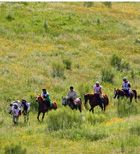 Imagen de Galeria de Vuelta a Andalucía a caballo