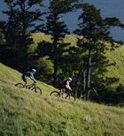 Imagen de Galeria de Primer Mountain Bike de la Mujer en Madrid
