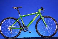 Imagen de Galeria de Robo en el museo del mountain bike