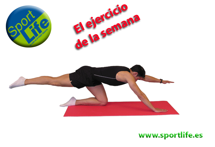 Imagen de Galeria de Estabilización dinámica: lo que necesita tu columna