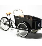 Imagen de Galeria de La bici más fashion del momento