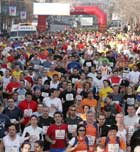 Imagen de Galeria de Medio maratón de Terrassa
