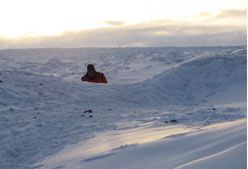 Imagen de Galeria de Maratón del Círculo Polar