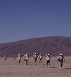 Imagen de Galeria de Maratón y Media Maratón de Marrakech: 4 últimas plazas