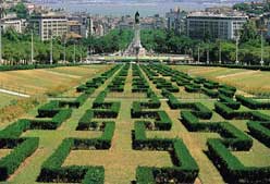 Imagen de Galeria de Viaje al medio maratón de Lisboa