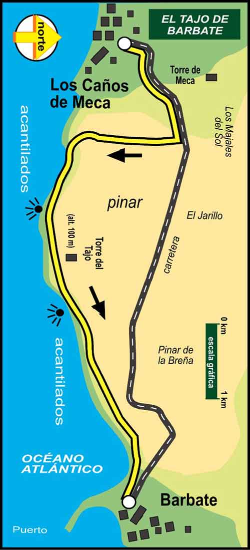 Imagen de Galeria de