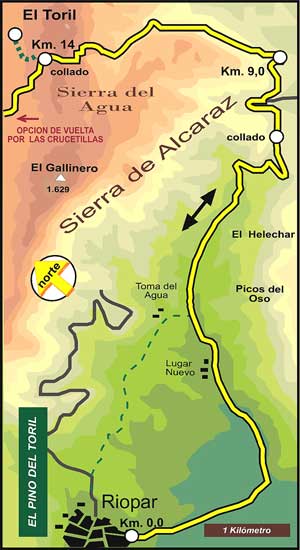 Imagen de Galeria de