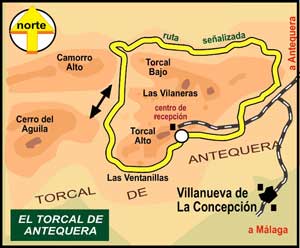 Imagen de Galeria de