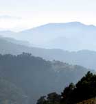 Imagen de Galeria de