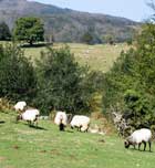 Imagen de Galeria de